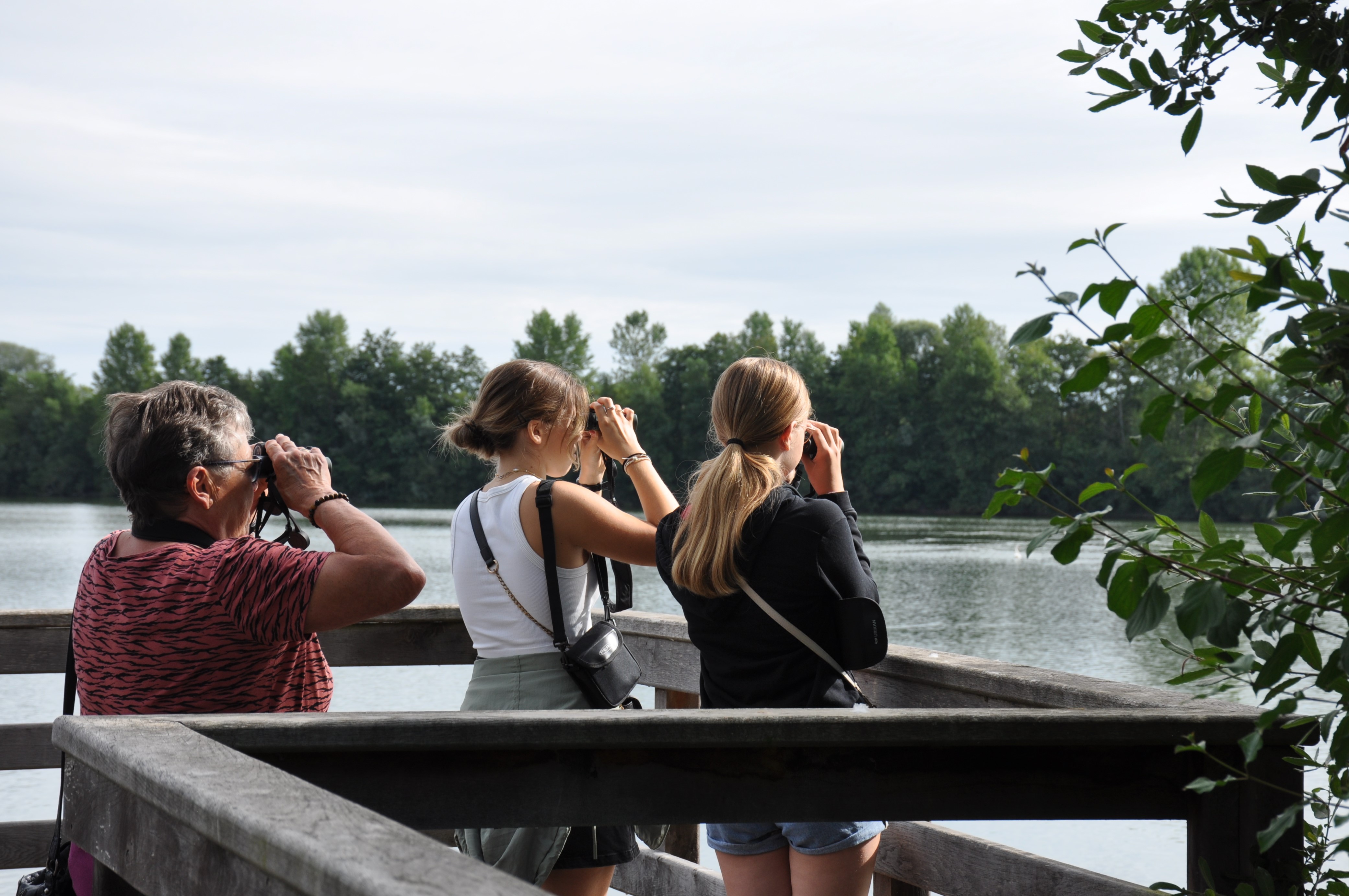 Comptage des oiseaux d'eau hivernants dans le bassin du Drugeon